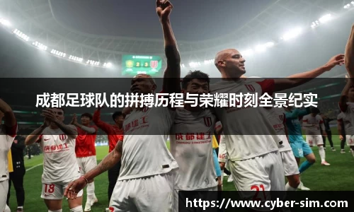 成都足球队的拼搏历程与荣耀时刻全景纪实